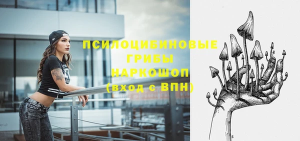 mdpv Армянск
