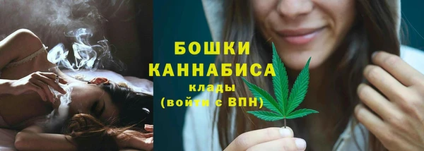 дмт Арсеньев