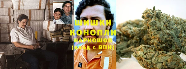 дмт Арсеньев